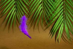 Trendy concept - purple feather levitation over wooden cube on brown background. Geometric shape and fluffy neon feather. photo