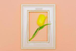 Beautiful tulip flowerin pink photo frame, peach background. Spring and Easter Frame Concept. Flat lay. Blank Space