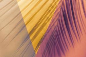 Shadows of palm leaf on geometry background of orange, pink and purple colors. Flat lay style. Toned image photo