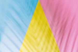 Shadows of palm leaf on geometry background of yellow, pink and blue colors. Flat lay style. photo