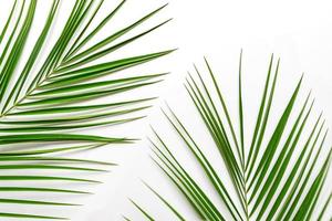 Tropical green palm leaves on white background. Flat lay, top view photo