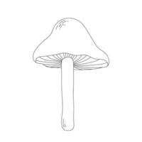 Line art doodle mushroom. Symbol of the forest, autumn, and harvest. Isolated vector illustration.