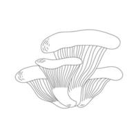 Oyster mushrooms. Doodle style. Line art. Isolated vector illustration.