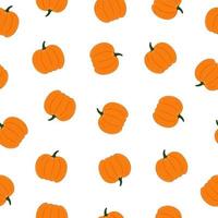 Seamless pattern of pumpkins on white background. Background for autumn decorative design vector