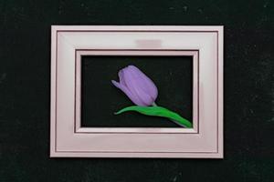 Beautiful composition with spring flowers. Photo frame, violet tulip on black background