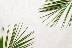 hojas de palma verde tropical sobre fondo de hormigón blanco. endecha plana, vista superior foto
