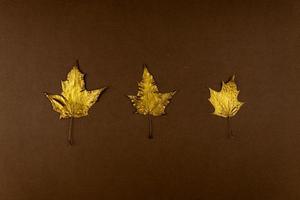 Three golden painted maple leaves on dark brown background. Trendy concept. Flay lay in minimalism style. photo