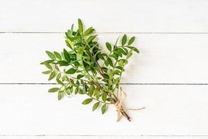 Bunch of green leaves branches on white wooden table. Nature conservation concept photo