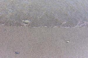 pebble coastline. Seashore with transparent water and small stones photo