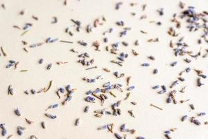 Dried medicinal lavender herb flowers scattered on grey background photo