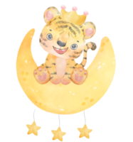 linda acuarela bebé tigre niño juguetón o luna creciente acuarela vivero animales png