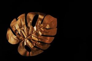 gold painted exotic monstera leaf on black background. Creative frame with copy space for text photo