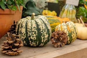 Autumn pumpkin background. Close up of mini pumpkins at farmers market photo