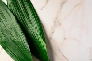 hojas verdes tropicales compuestas como un marco sobre fondo de piedra de mármol con espacio de contenido. foto