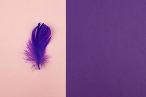 Abstract geometric paper background of pastel pink and purple colors with violet feather. Copy space for design photo