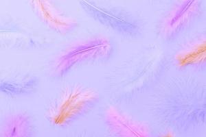 flat lay pattern made of pastel colored feathers. MInimal natural flat lay top view on light blue background photo