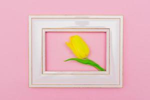 Flowers composition. Yellow tulip flower with pink photo frame on pastel background. Flat lay, top view, copy space.