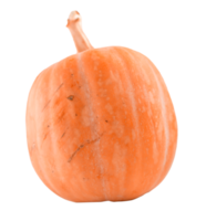 autumn pumpkin isolated png