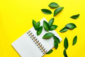Blank spyral Notepad in the center on yellow background with green leaves of ruskus. Creative mockup. photo