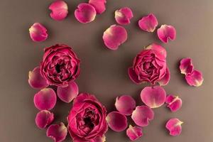 Top view of blooming rose flover on brown background. Festive greeting card, flower arrangement. Top view photo