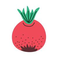 fresh beet vegetable vector