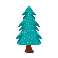 pine tree plant vector