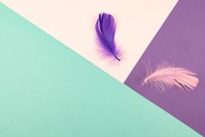 Abstract geometric paper background of pastel pink and purple colors with violet feather. Copy space for design photo