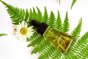 bottle of natural organic face serum or essential oil on fern leaves on white background. Mock up for your cosmetics brand design photo