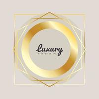 luxury premium quality golden vector