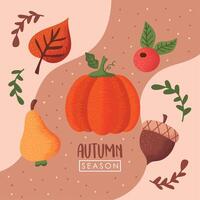 autumn season lettering vector