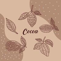 cocoa lettering with seeds vector