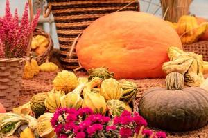 Autumn flowers arrangement. Beautiful bouquet with chrysanthemums, decorative pumpkins. photo