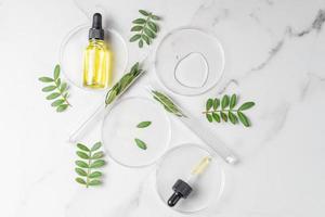 Cosmetic skincare background. Herbal medicine with green leaves. Chemical glassware, petri dishes, test tubes. Natural skincare concept. photo