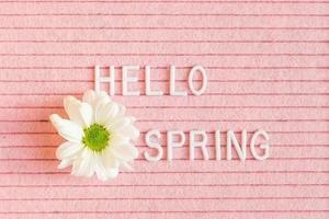 texto hola primavera en letra de fieltro rosa jabalí con flor blanca de crisantemo foto