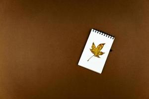 Autumn busines concept - blank ring-bound notebook with golden maple leaf and pen on brown background with copy space photo