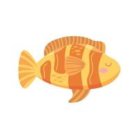 pez payaso vida marina dorada vector