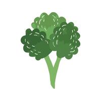 verduras frescas de brócoli vector