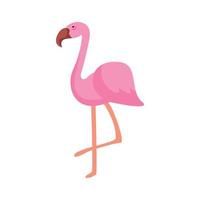 exotic flamingo bird vector