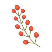 branch with seeds vector