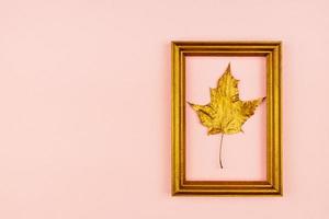 Autumn bouquet of golden painted maple leaves on pink background. Trendy concept. Flay lay in minimalism style. photo