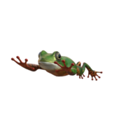 Frog 3d model illustration png