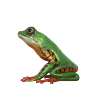 Frog 3d model illustration