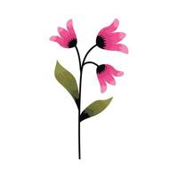 pink flowers and leafs vector