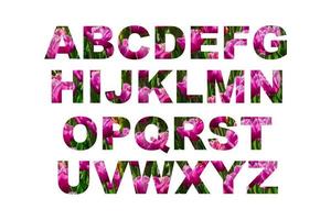alfabeto de verano de tulipán, letras florales sobre fondo blanco. foto