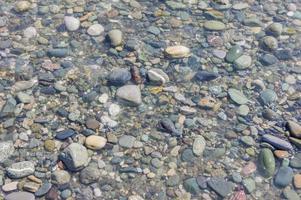 costa de guijarros. orilla del mar con agua transparente y pequeñas piedras foto