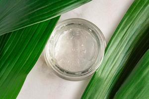 A transparent face gel in a glass jar on large green tropical leaves. Cosmetic beauty product for moisturizing face, hands and body. Natural organic cosmetic. Top view, flat lay photo