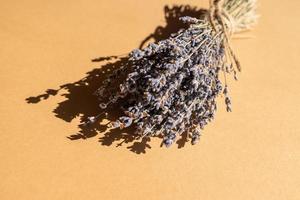 manojo de lavanda seca machacada con cuerda natural sobre fondo beige. aromaterapia y medicina alternativa. foto