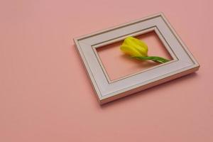 Beautiful tulip flowerin pink photo frame, peach background. Spring and Easter Frame Concept. Flat lay. Blank Space