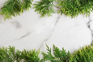 Frame made of white cedar thuja branches on white marble background, flat lay. Mockup card with copy space. photo