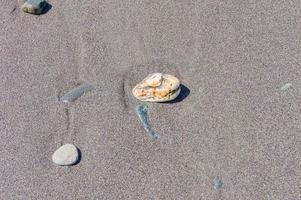 stones on the sand. Top view of sandy beach photo